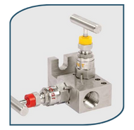 Manifold Valves